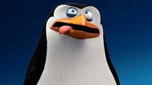 Stupid pengu