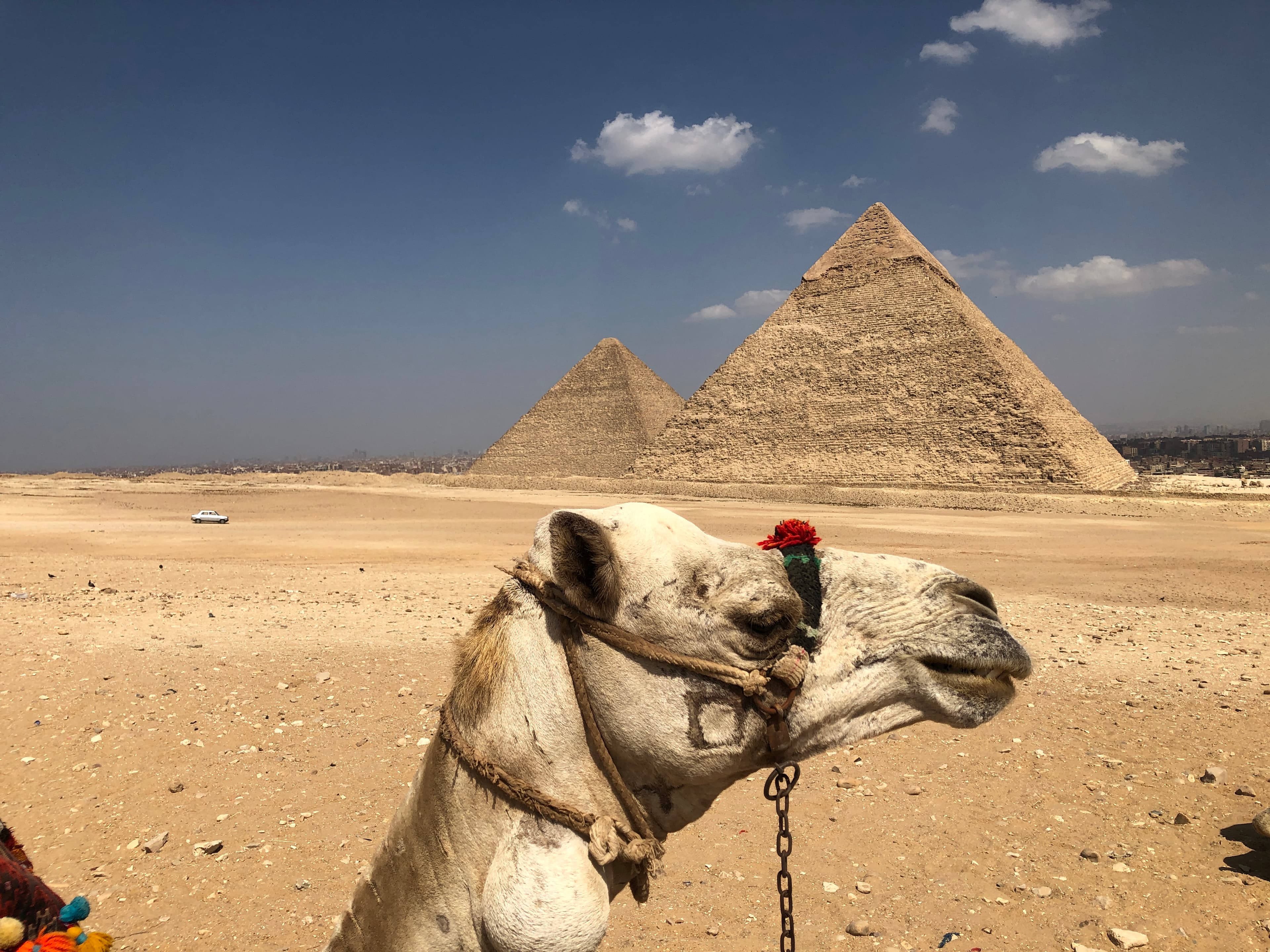 Eternity Carved in Stone