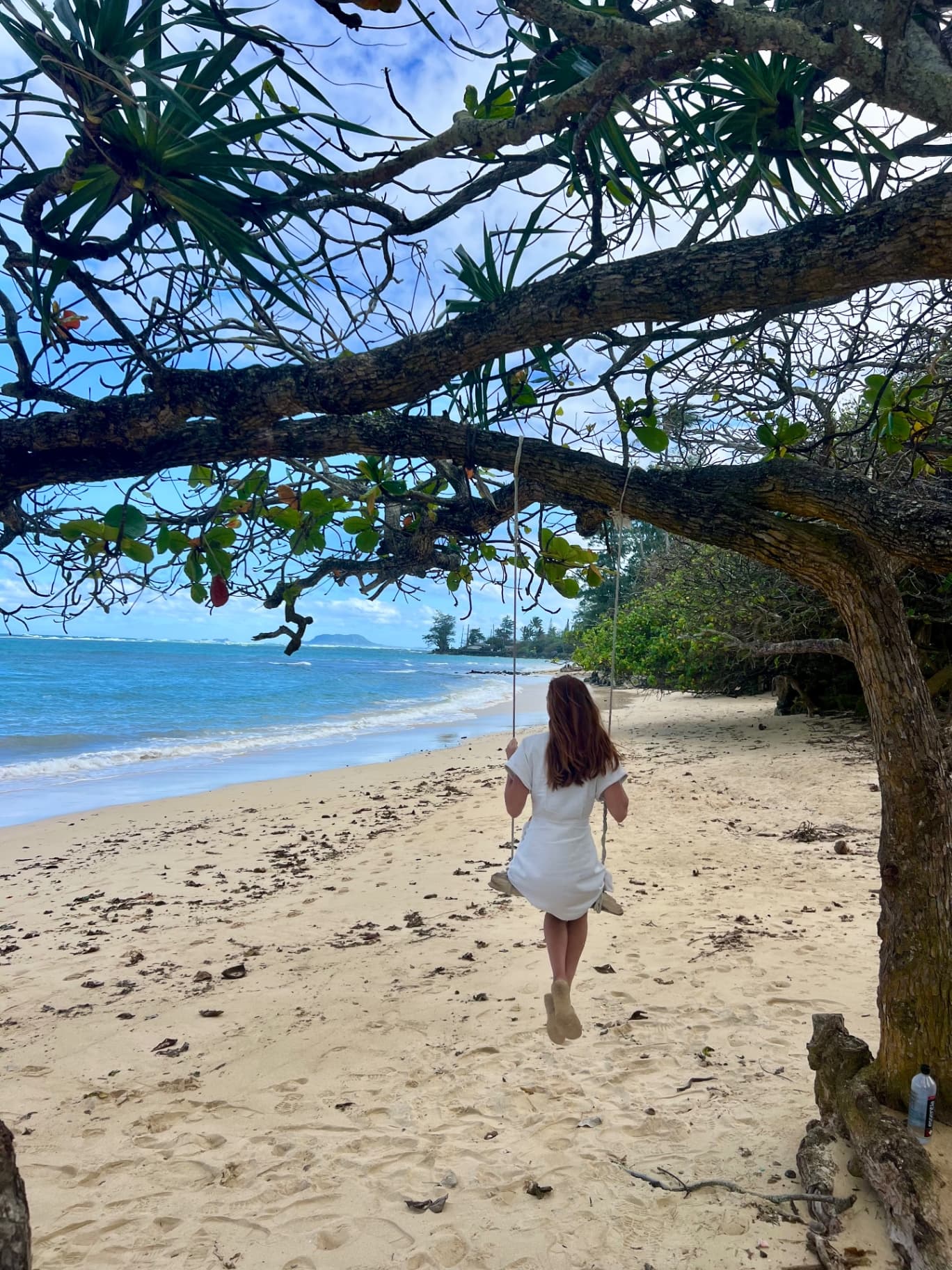 Life is better in Hawaii 🏝️