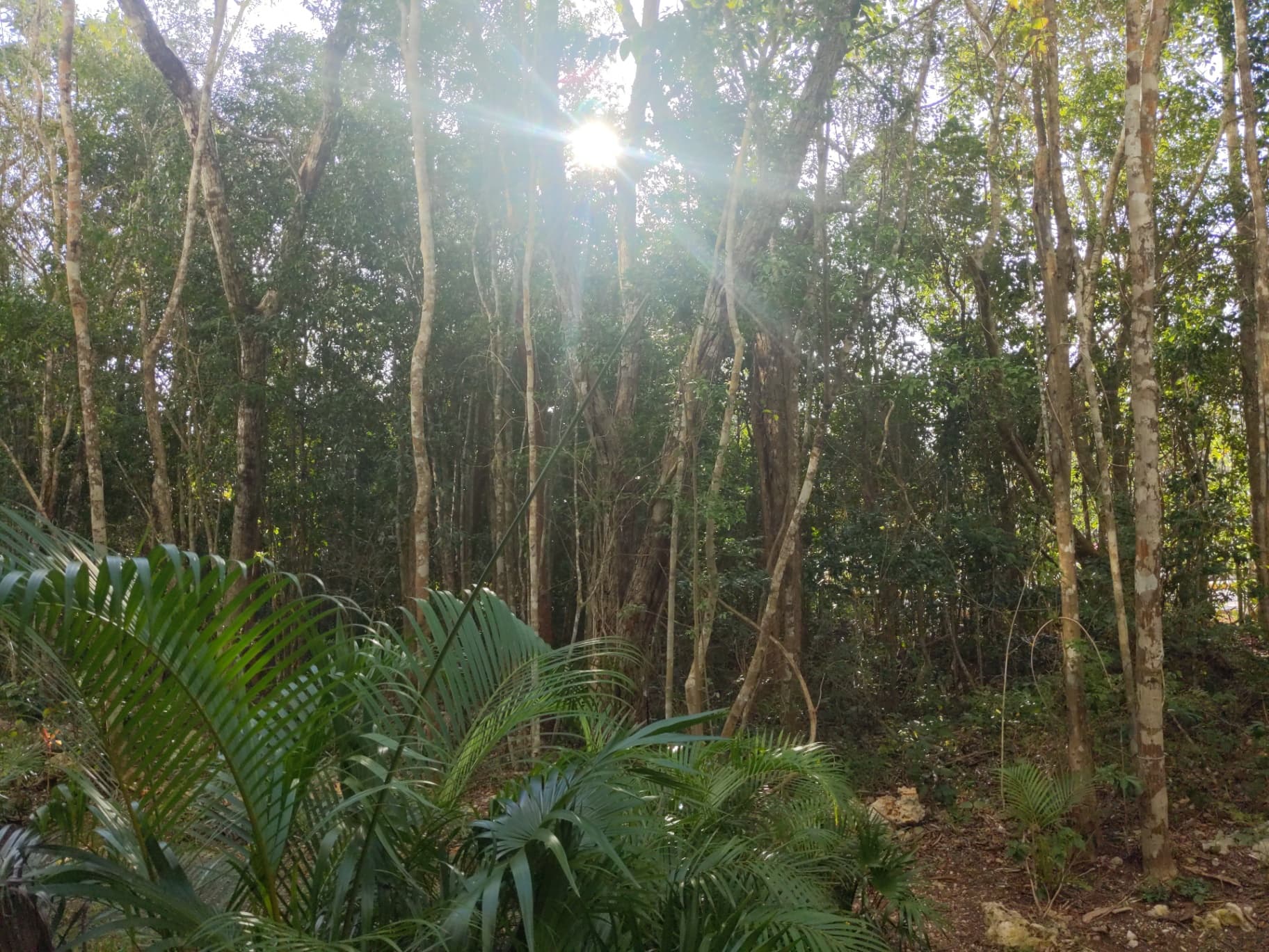 One Beautiful Morning