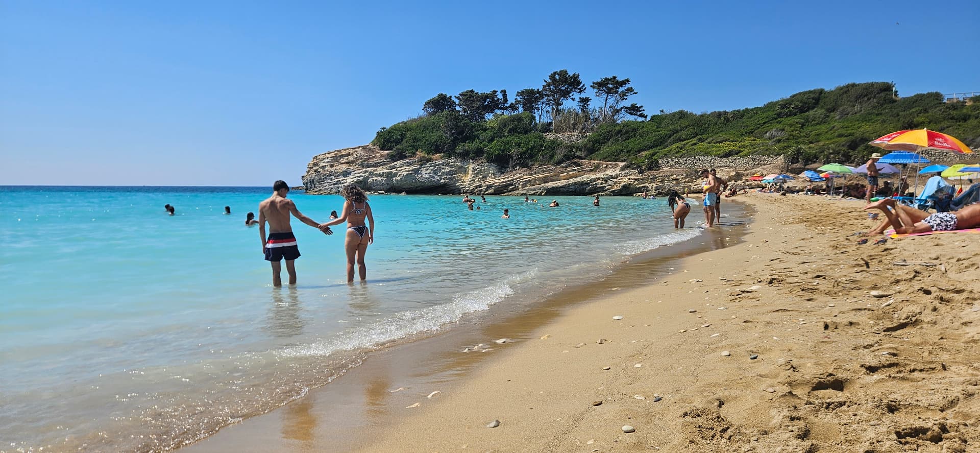 Oasi Gelsomineto
